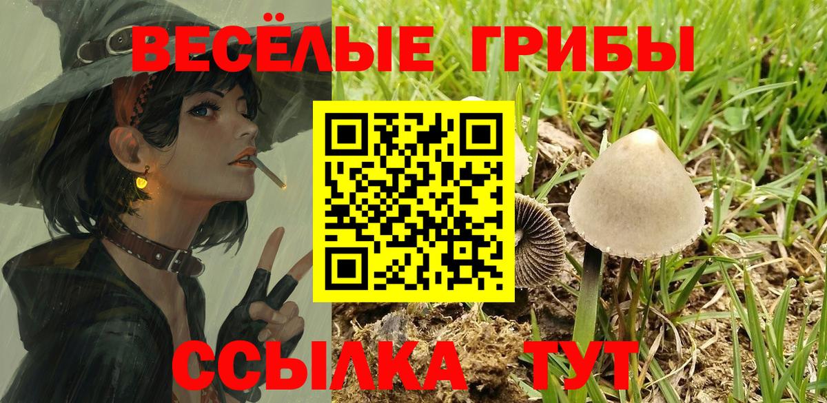Магадан  Псилоцибиновые грибы ЛСД  даркнет сайт  Вход с VPN  Псилоцибиновые грибы мухоморы 